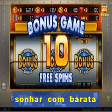 sonhar com barata jogo do bicho